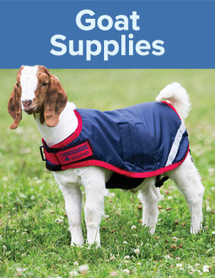 Goat Supplies